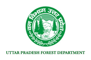 Brand Name : Brand Short Description Type Here.