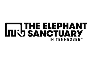 Brand Name : Brand Short Description Type Here.