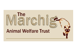 Brand Name : Brand Short Description Type Here.