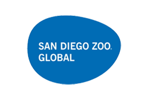 Brand Name : Brand Short Description Type Here.